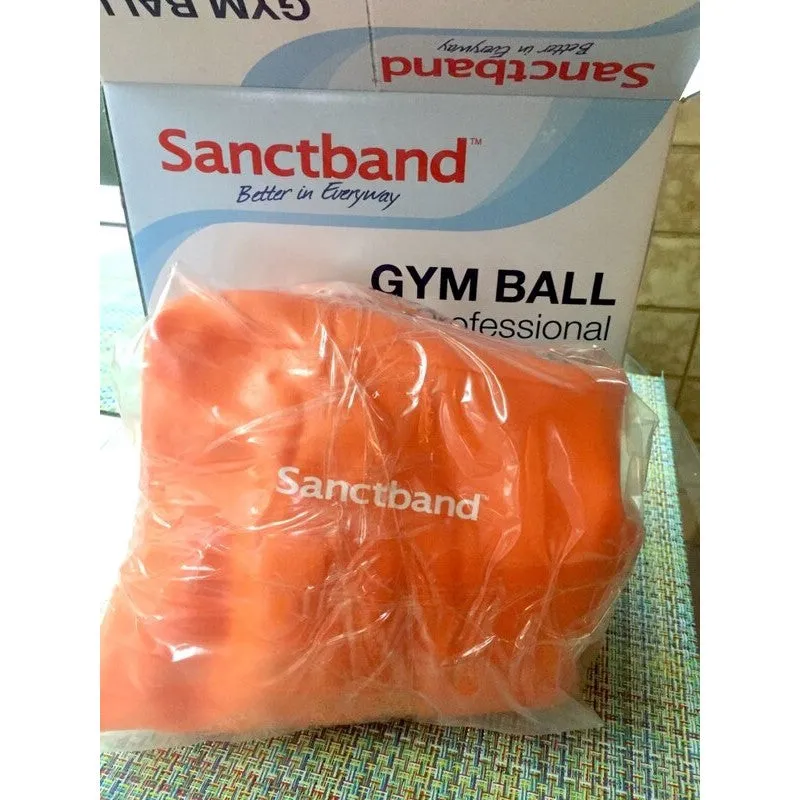 Sanctband Exercise Balls